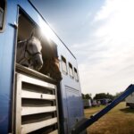 Horsebox Inspection